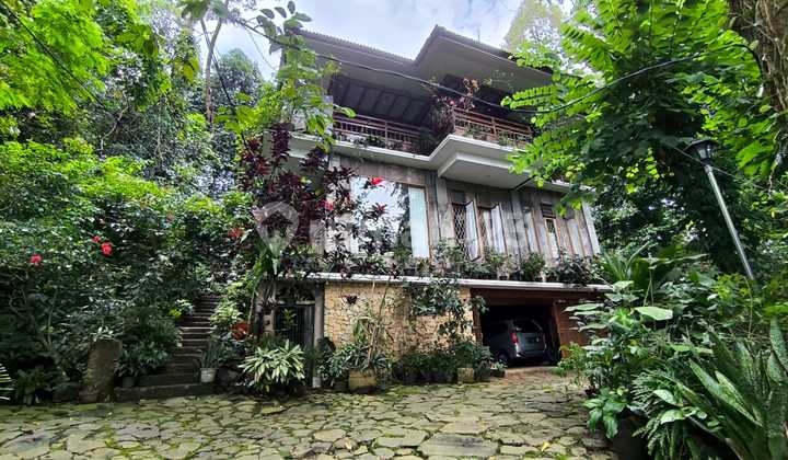 Rumah Villa Bonus Tanaman Langka Bernuansa Alam Dekat Kediaman Pak Prabowo Dan Rainbow Hills Golf