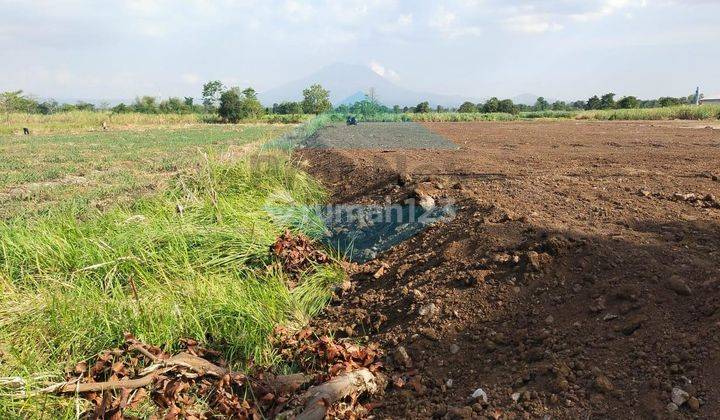 Dijual Tanah Nol Jalan Probolinggo 1