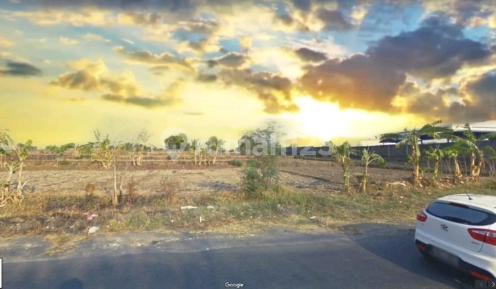 JUAL CEPAT TANAH RAYA MANTUP LAMONGAN JAWA TIMUR