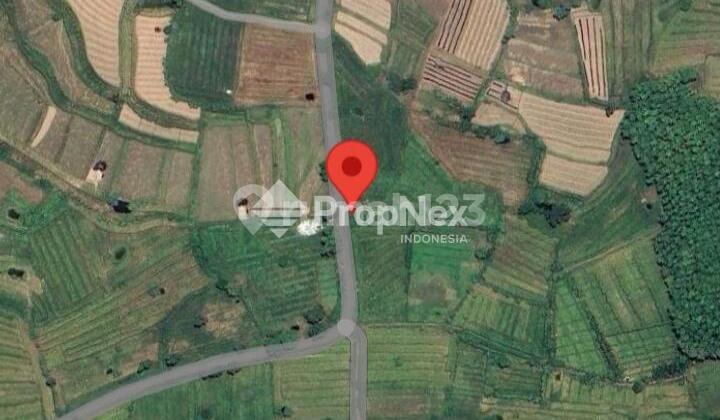 Tanah Industri Dawar Blandong Mojokerto 1