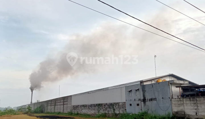 FOR SALE Ex-Factory Gresik, Bringkang Main Road, Mojotengah, East Java FOR SALE Ex-Factory Gresik, Bringkang Main Road, Mojotengah, East Java
