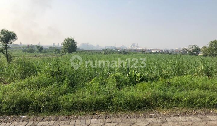 dijual tanah lahan untuk gudang Lokasi di sumput driyorejo