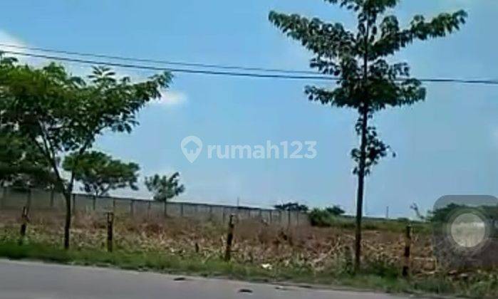 Tanah Plot Industri Raya Kota Tuban Kec Widang Super Murah 2