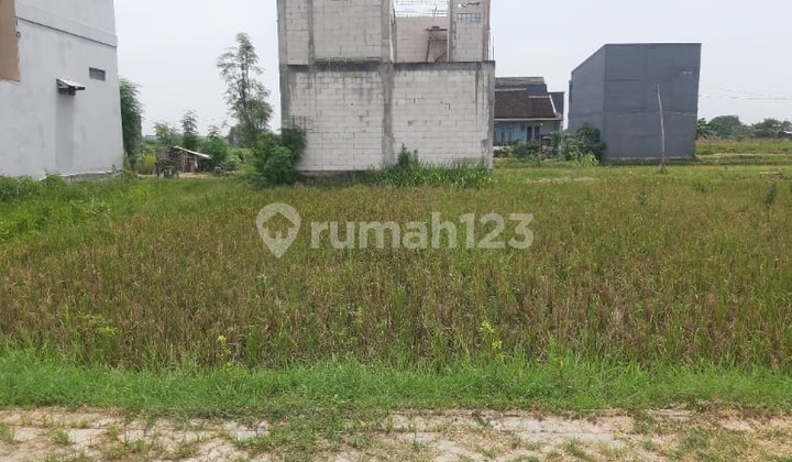 Tanah Menganti Krajan, ada 2 Kavling masing2 sudah SHM Tanah Menganti Krajan, ada 2 Kavling masing2 sudah SHM