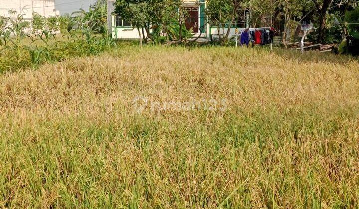 Tanah kosong di Menganti Krajan Gresik Hadap Timur 1