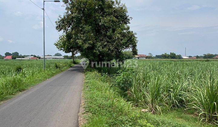 Tanah Gudang Industri Gedangan Area Bypass Mojokerto 2