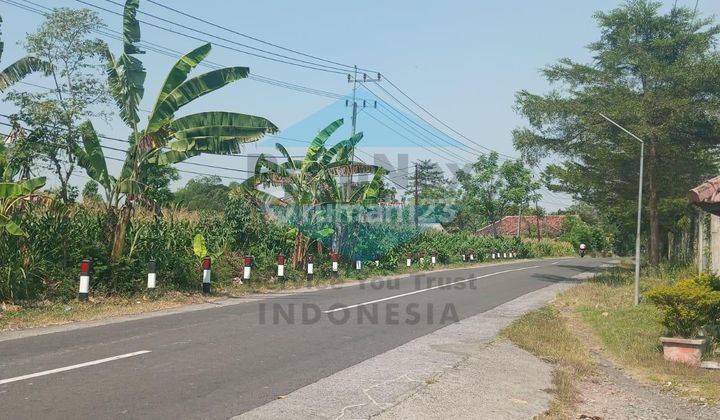 Tanah 60 Ha Tongas Probolinggo 2