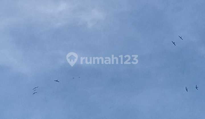 Jual Cepat Rumah Walet Produktif Samarinda 2