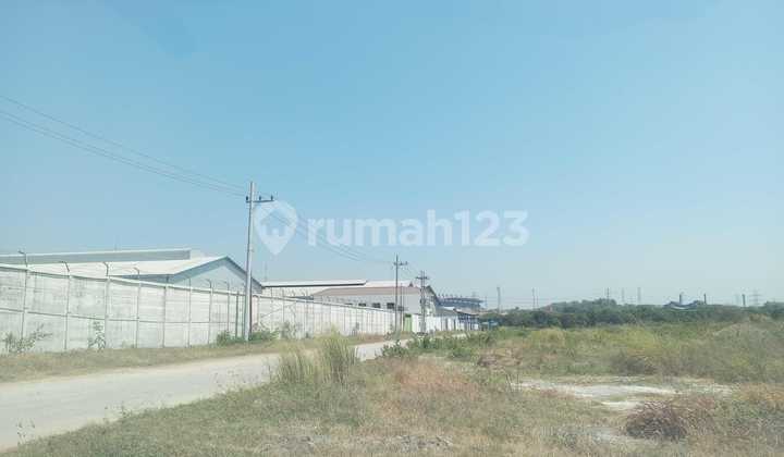 New Building Warehouse Romokalisari