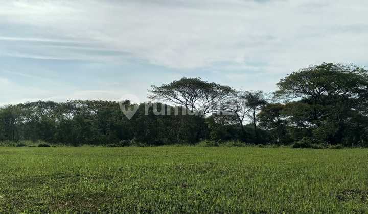 Kavling Bukit Golf Citraland Golf View Kavling Bukit Golf Citraland Golf View