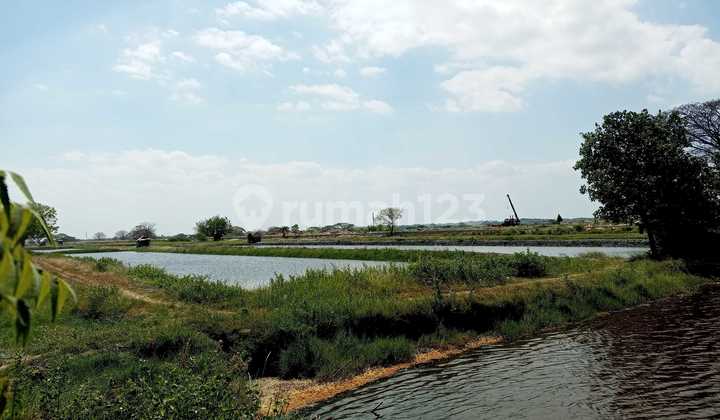 Large Land Manyar Sembayat Gresik