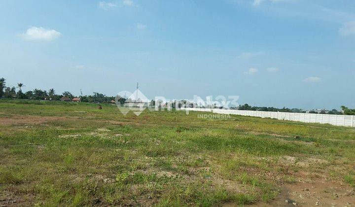 Quick Sale Industrial Warehouse Land in Romokalisari Quick Sale Industrial Warehouse Land in Romokalisari