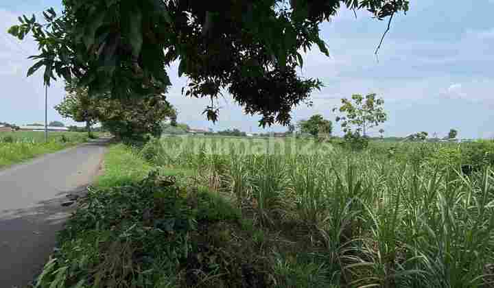 Tanah Gudang Industri Area Trowulan 2