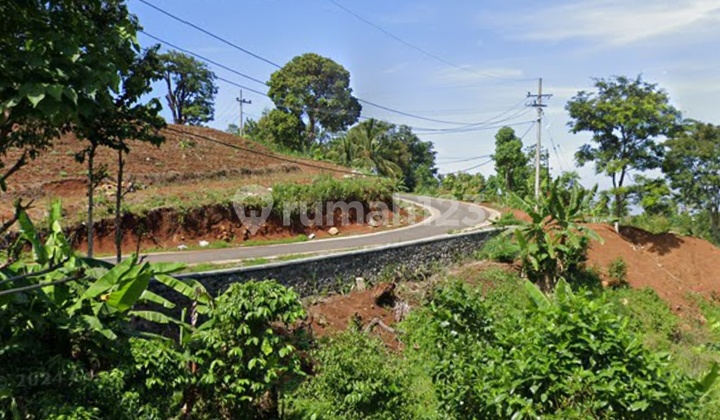 Tanah Nol Jalan Wonosalam Jombang