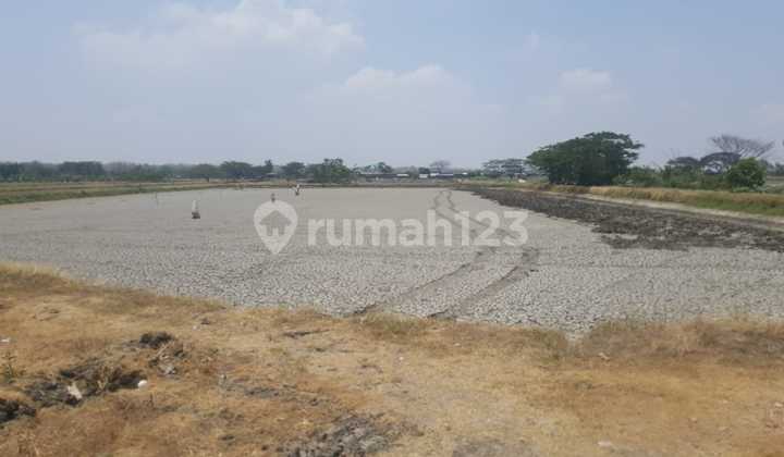 Tanah Gudang Industri Raya Bungah Gresik