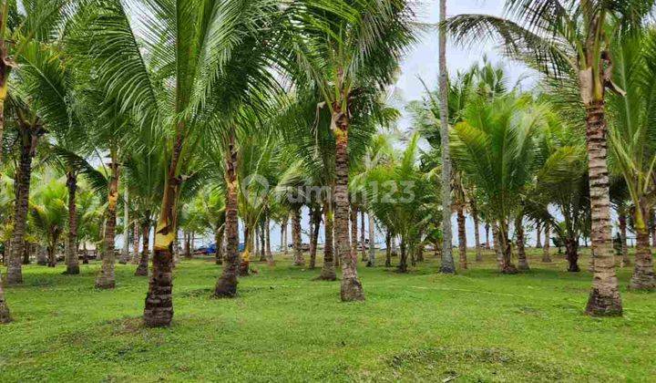 Tanah Siap Bangun Pantai Melaya Bali 2