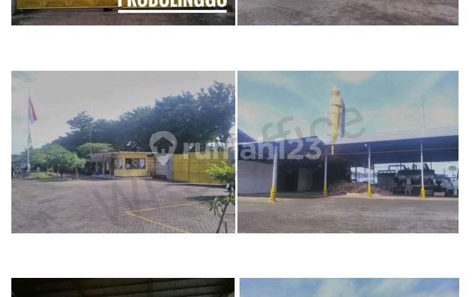 Pabrik Pengolahan Kayu Probolinggo Kota