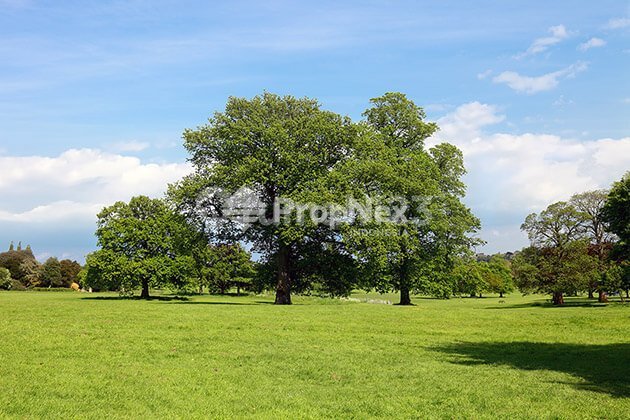 Tanah Siap Bangun Jalan Kupang Indah Surabaya Barat