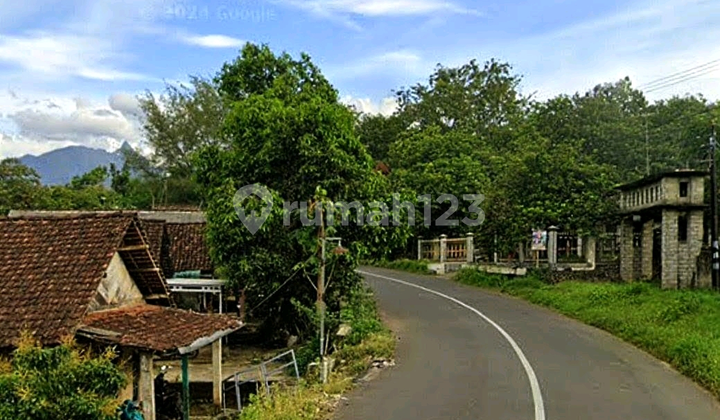 For Quick Sale Durian Plantation Land in Pulosari, Wonosalam, Jombang