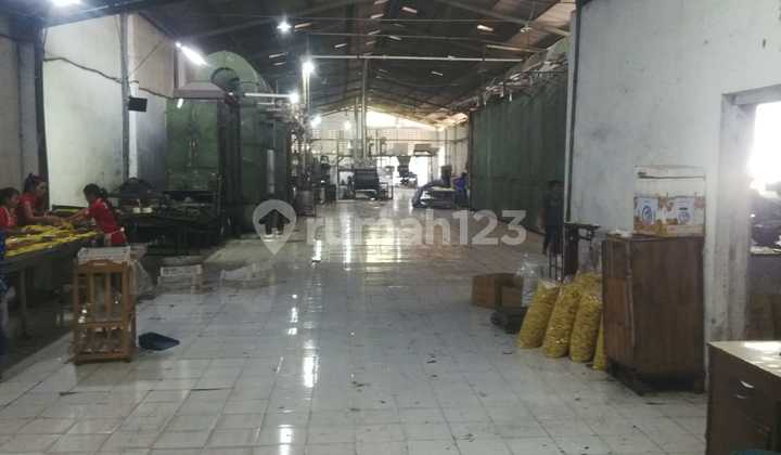 Mojoagung Jombang Main Factory