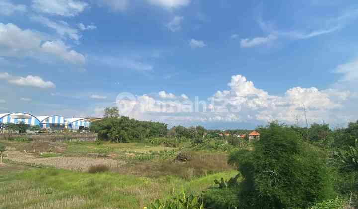 Kedamean Driyorejo Land Kedamean Driyorejo Land