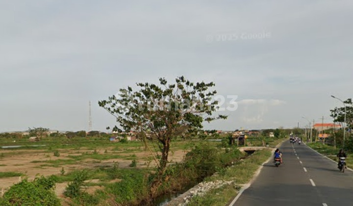 Tanah Nol Jalan Propinsi Manyar Gresik Tanah Nol Jalan Propinsi Manyar Gresik