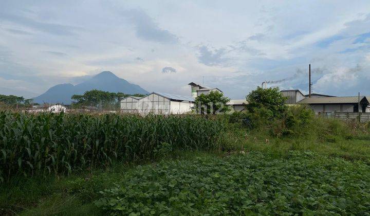 Jual Tanah Pungging Mojokerto Cocok Gudang Perumahan Hidroponik 1