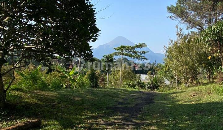 Villa Lokasi Tertinggi Di Trawas Dengan Lahan Luas