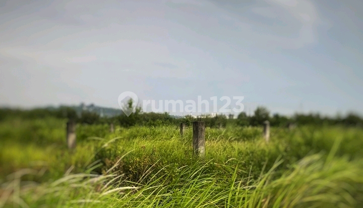 Tanah Industri Mojoagung Jombang