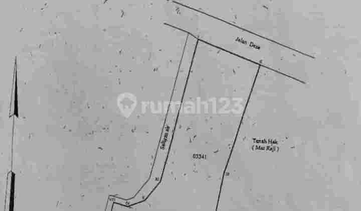 Gudang Pelem Watu Menganti Gresik