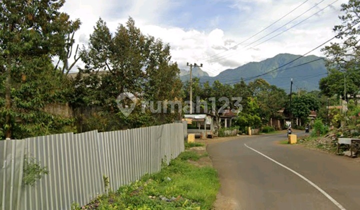 Durian Plantation Land in Wonosalam, Jombang