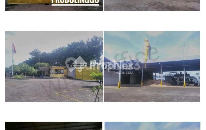 Pabrik Tengah Kota Probolinggo 2