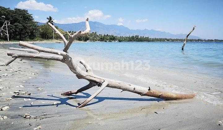 Tanah Siap Bangun Pantai Nusantara Buleleng Bali 2