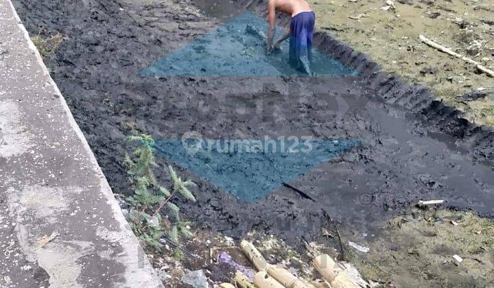 Tanah Tambak Gending Probolinggo 1