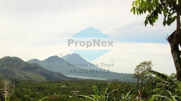 Jual Cepat Tanah Area Batur Bali View Gunung Dan Danau 1