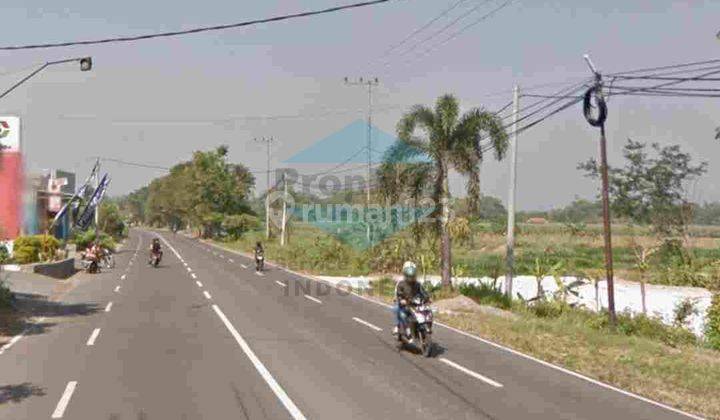 Jual Cepat Tanah Nol Jalan Raya Dlanggu Mojokerto 2