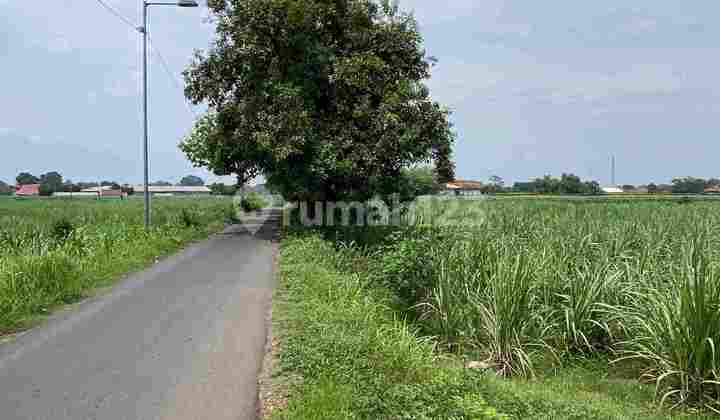 Tanah Gudang Industri Area Trowulan 1