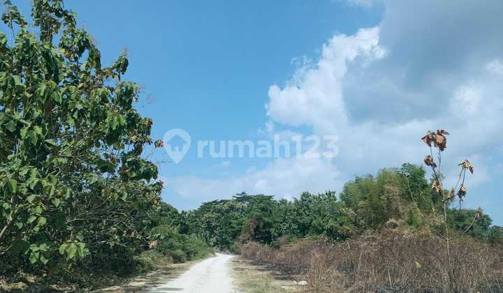 For Quick Sale: Lakarsantri Raya Land, Greenlake Row