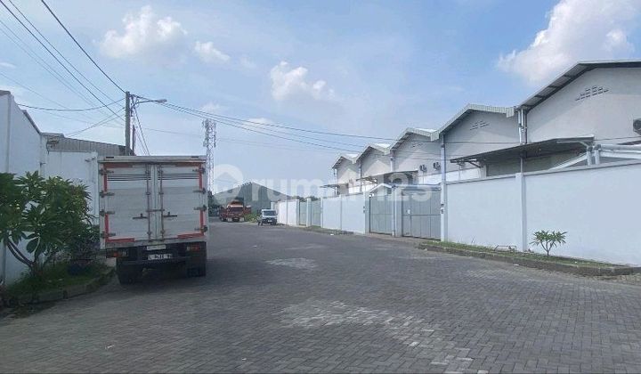 Dijual Gudang Margomulyo Surimulia Kondisi Siap Pakai Dijual Gudang Margomulyo Surimulia Kondisi Siap Pakai