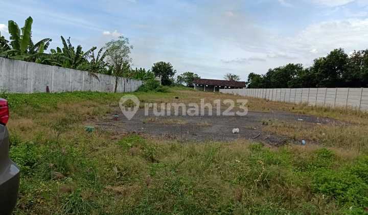 Tanah Raya Lakarsantri Driyorejo Surabaya