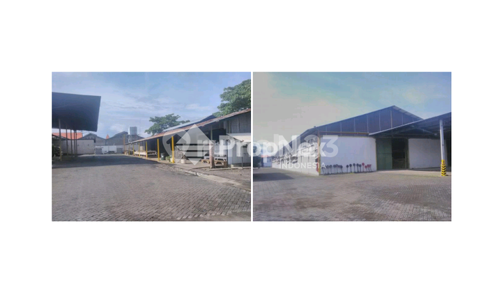 Pabrik Tengah Kota Probolinggo 1