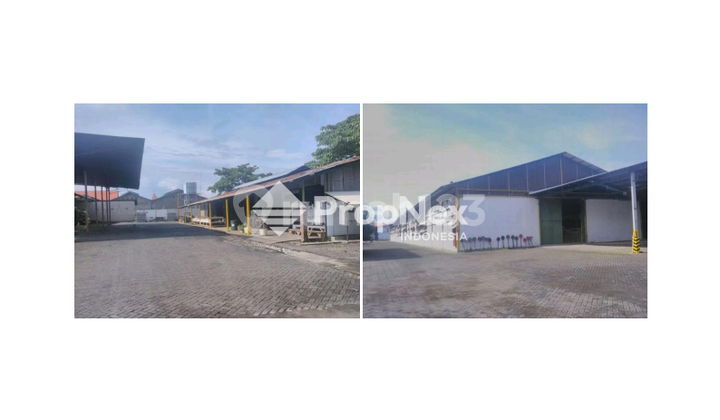 Pabrik Pengolahan Kayu Probolinggo Kota