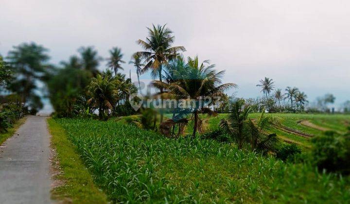 Balian Beach Mekayu Beachside 2