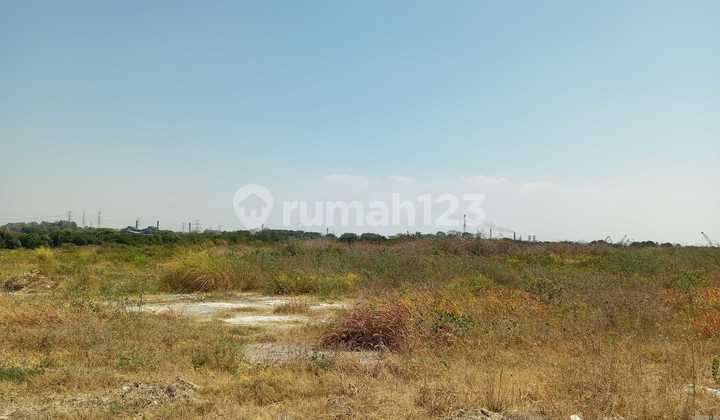 New Building Warehouse Romokalisari