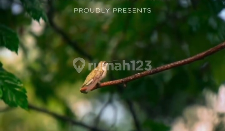 For Sale Citra Garden 8 House Near Lake Sunset Avenue Malta 2