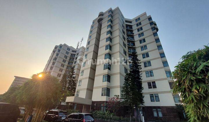 Apartemen Crown Court Condominium Lippo Cikarang, Full Furnished 1