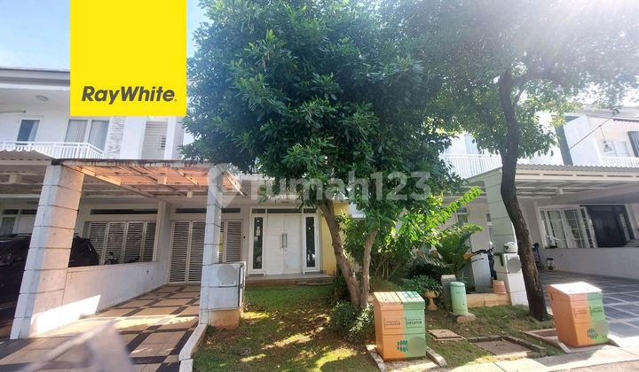 Acacia Summarecon Bekasi. Rumah Bagus (8x17). Murah, Jarang Ada.