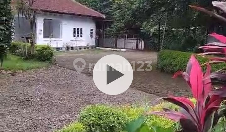 Rumah Heritage Tanah Luas Tengah Kota Bogor Hitung Tanah 17 Juta 2