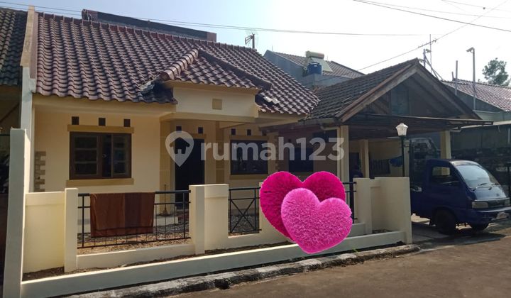 Rumah Baru Renovasi Di Taman Yasmin Dekat Stasiun Dekat Tol Rumah Baru Renovasi Di Taman Yasmin Dekat Stasiun Dekat Tol