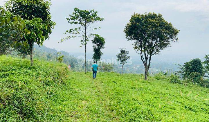 Tanah 3,7 Hektar Di Cijeruk View Gunung View Sawah 2